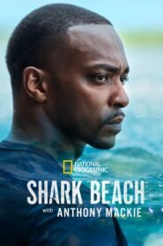 Shark Beach with Anthony Mackie